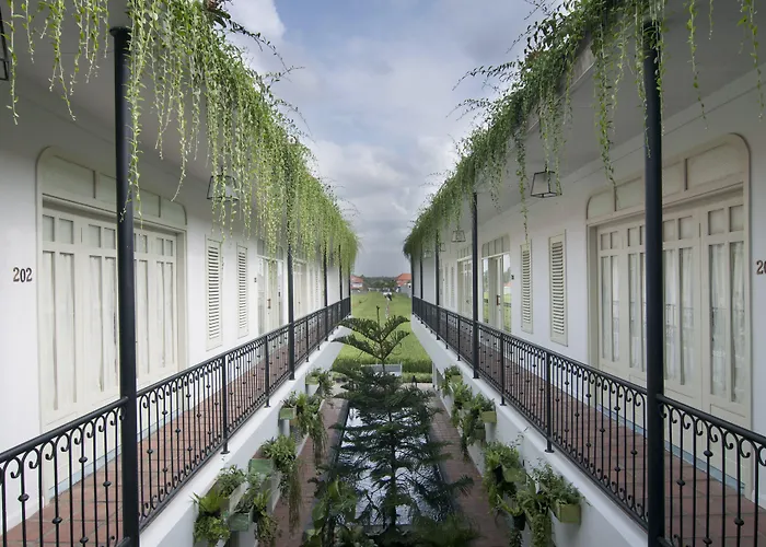 Brown Feather Batu Belig